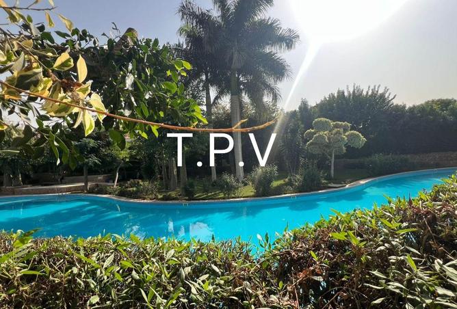 58987786 - Property Image 2