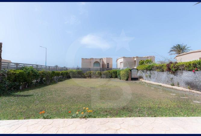 67740229 - صورة العقار 2