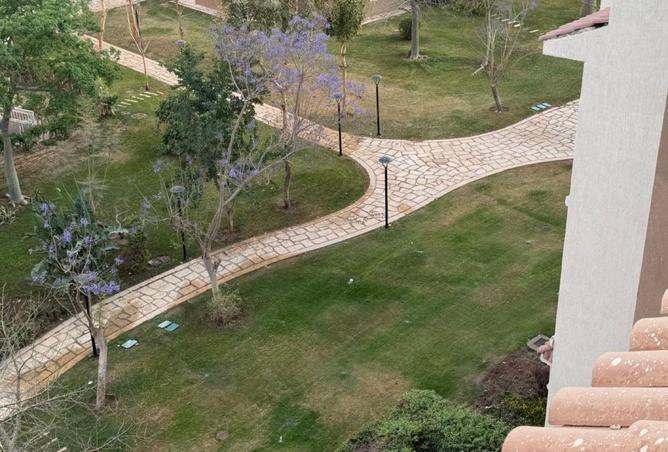 67736564 - صورة العقار 3