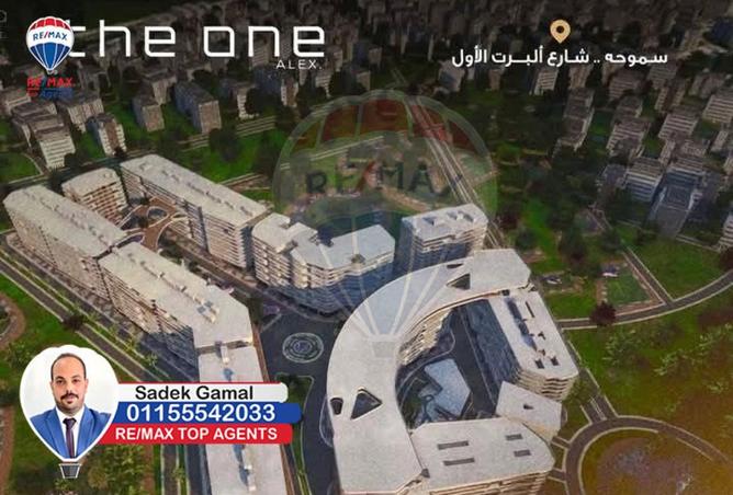 8554257 - Property Image 2