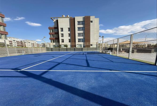 8645696 - Property Image 3