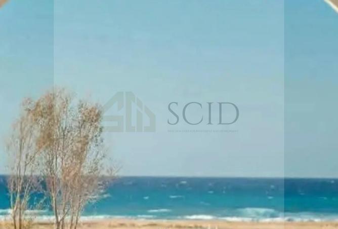 102912447 - Property Image 2