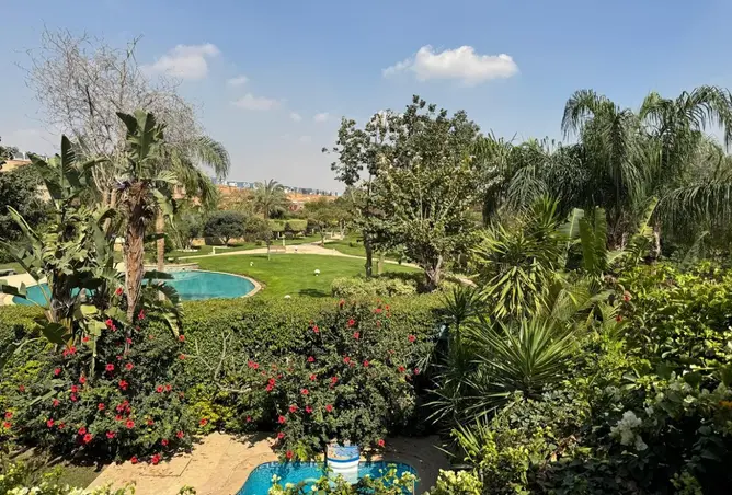 111597573 - Property Image 3