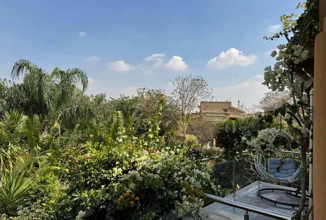 111597573 - Property Image 2