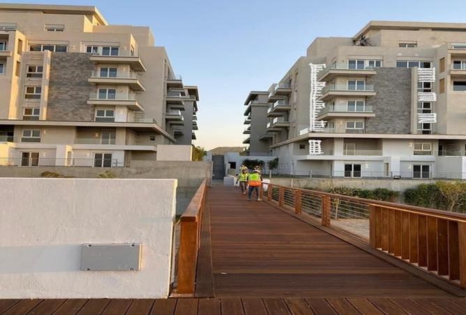 8399599 - Property Image 3