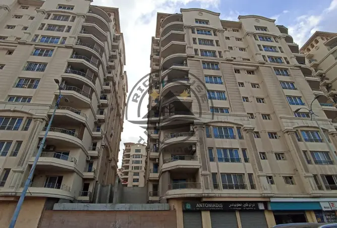 113800853 - Property Image 2