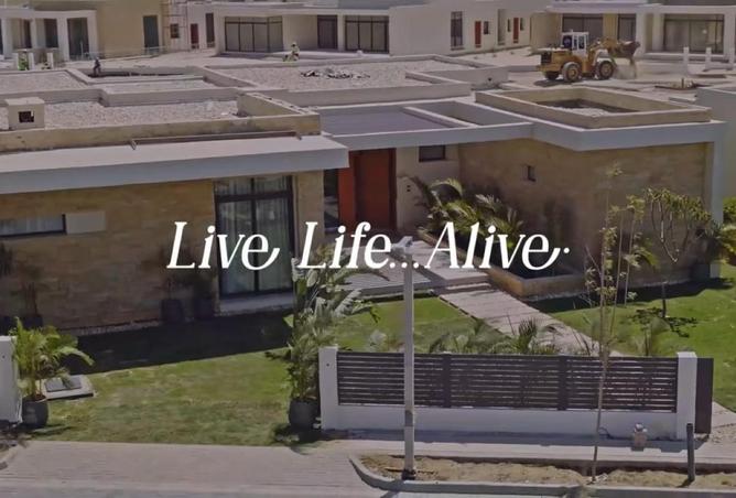 55761192 - Property Image 3