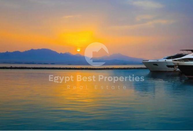 88133818 - Property Image 3