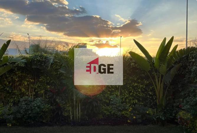 66700988 - Property Image 3