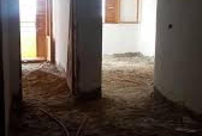 55502976 - Property Image 3