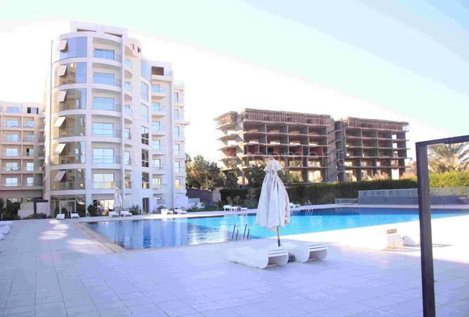 96585547 - Property Image 3