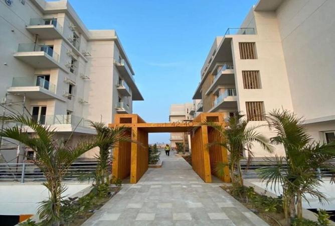 8399017 - Property Image 3