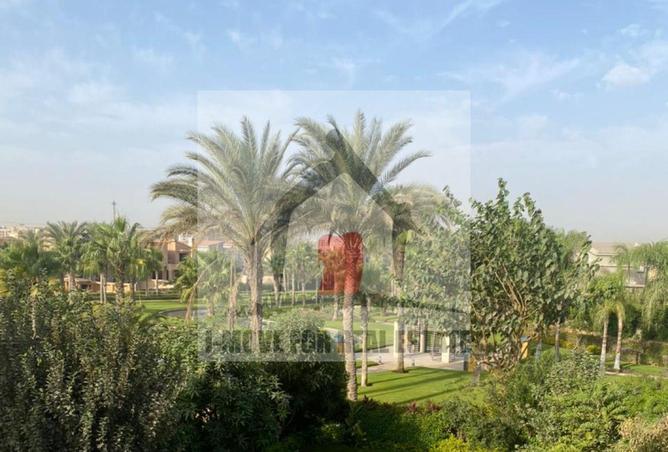 67479932 - صورة العقار 2