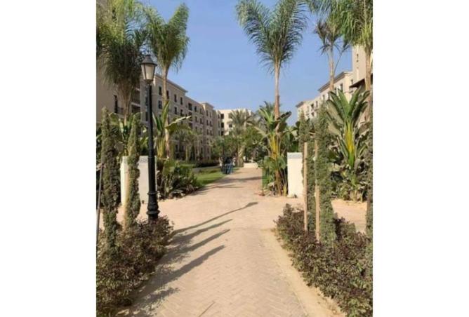 60233510 - Property Image 3