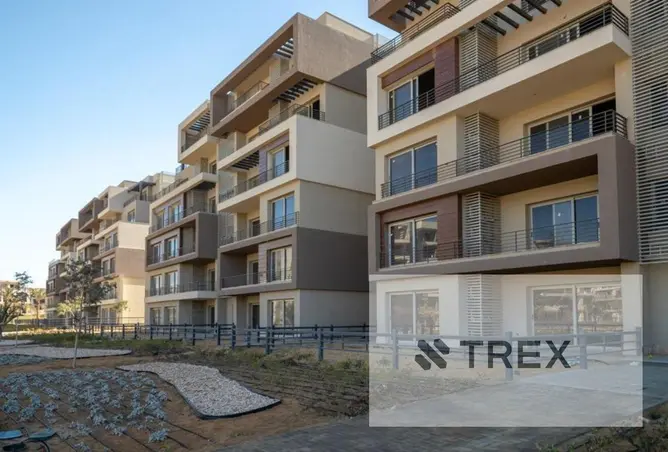 113544144 - Property Image 3