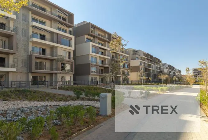 113544144 - Property Image 2