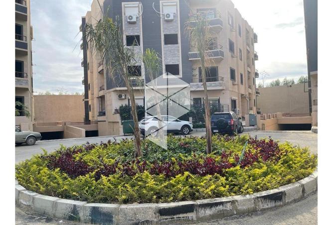 8629795 - Property Image 3