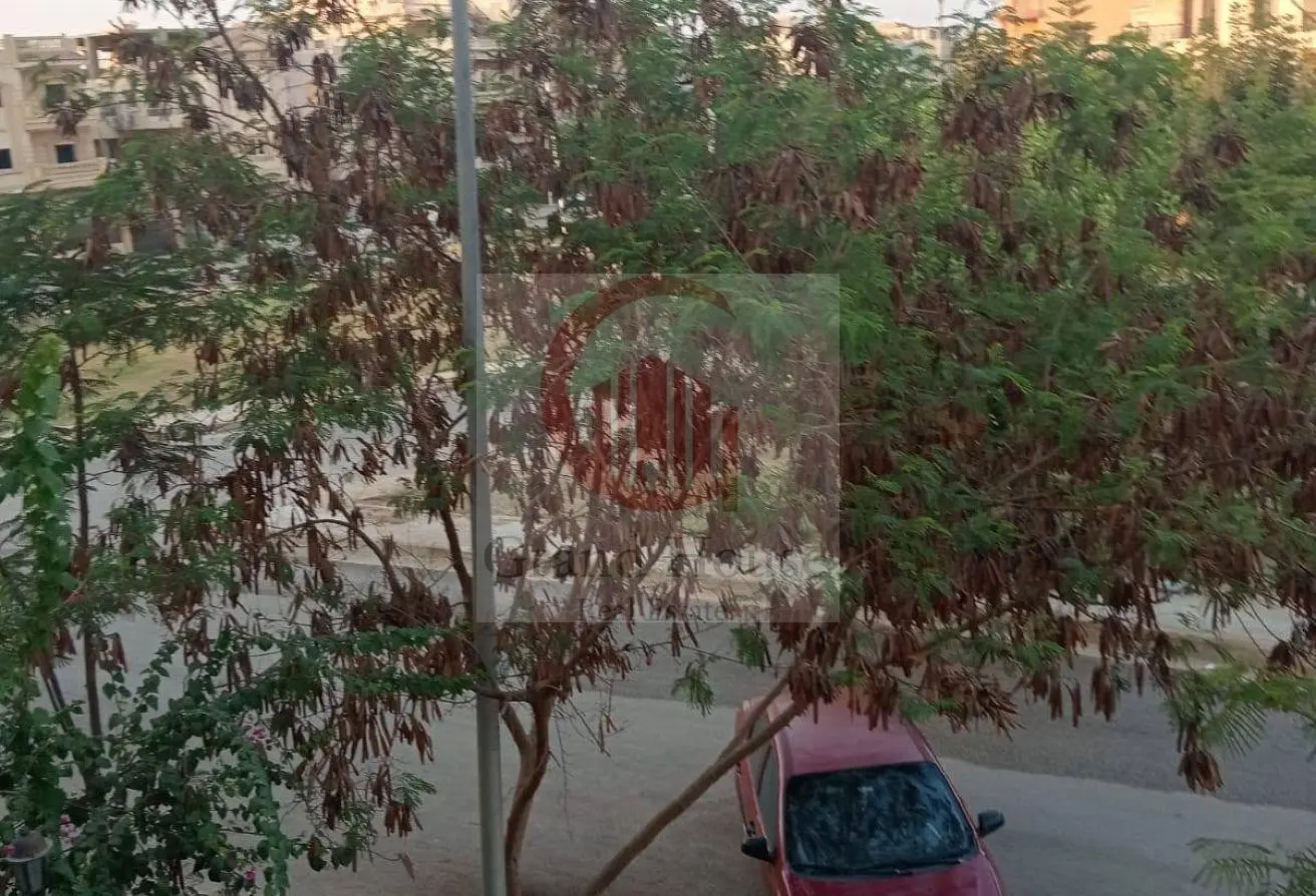 118813319 - الصورة الرئيسية للعقار