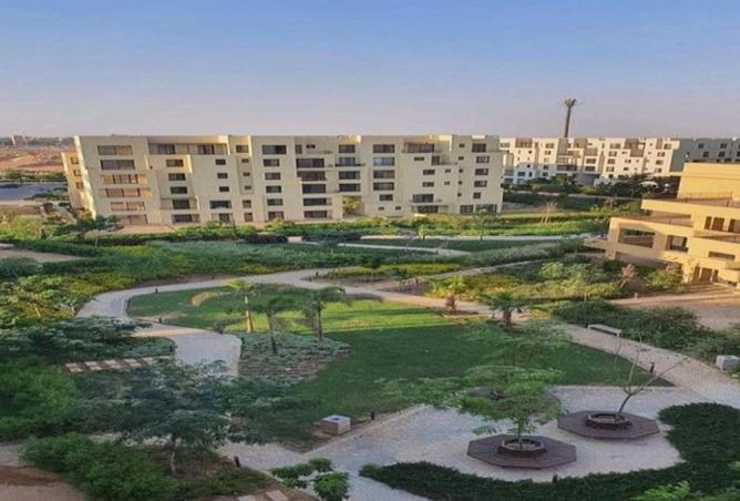 8550041 - Property Image 3