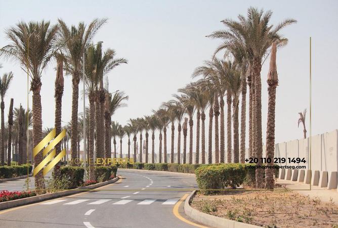 70622572 - صورة العقار 3
