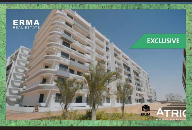 55006723 - Property Image 3