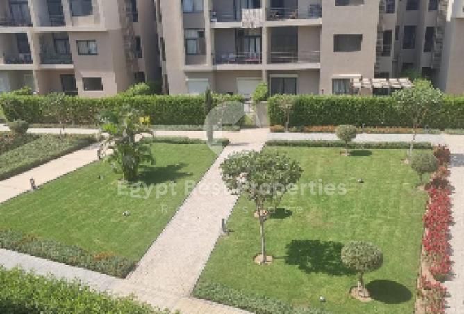 53799898 - صورة العقار 2