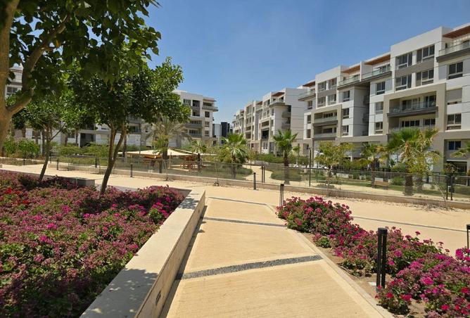 8602898 - Property Image 3