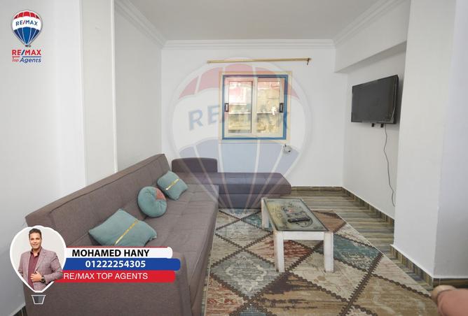 8513635 - Property Image 3