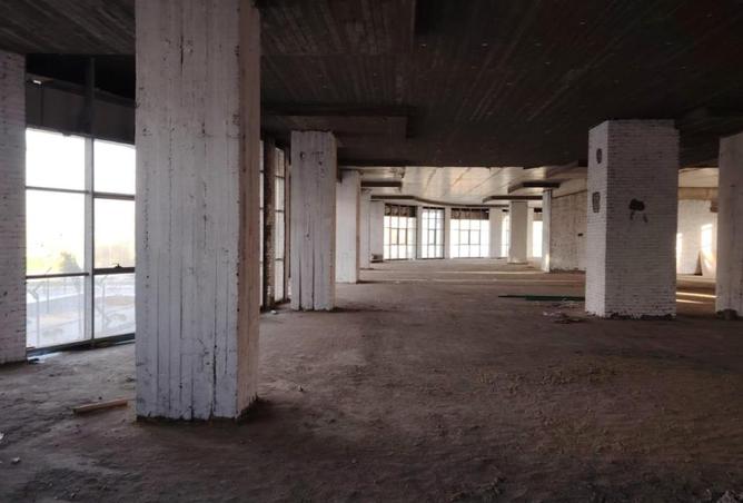 8711136 - Property Image 2