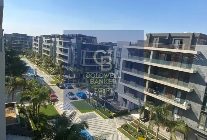 115449126 - Property Image 2