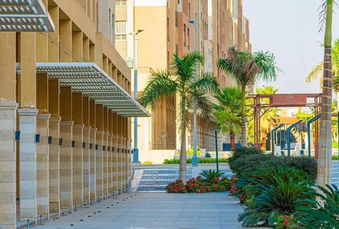 57233900 - صورة العقار 3