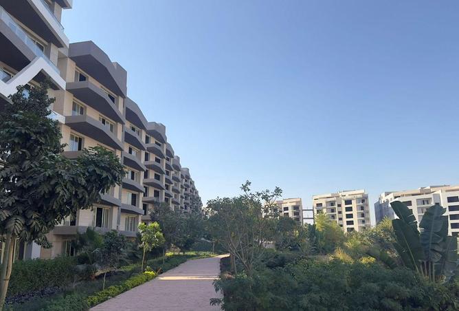 54499586 - صورة العقار 3