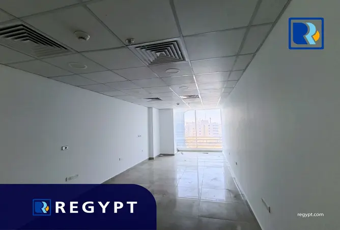 113807196 - Property Image 3
