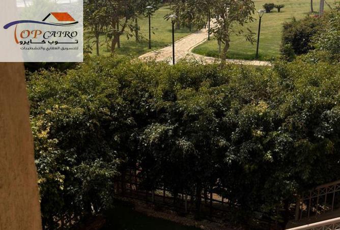 64891831 - صورة العقار 2