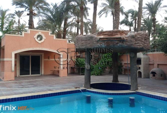 97421561 - صورة العقار 3