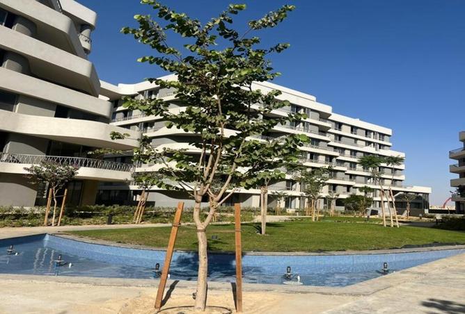 8437001 - صورة العقار 2