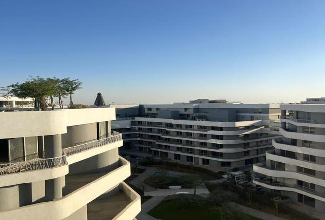 8437001 - صورة العقار 3