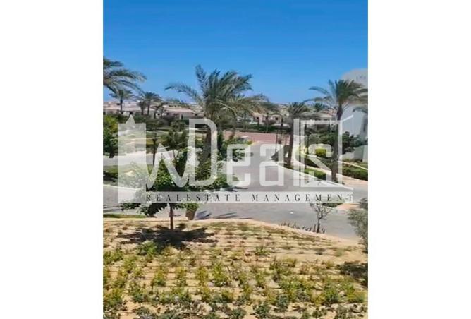 81843344 - Property Main Image
