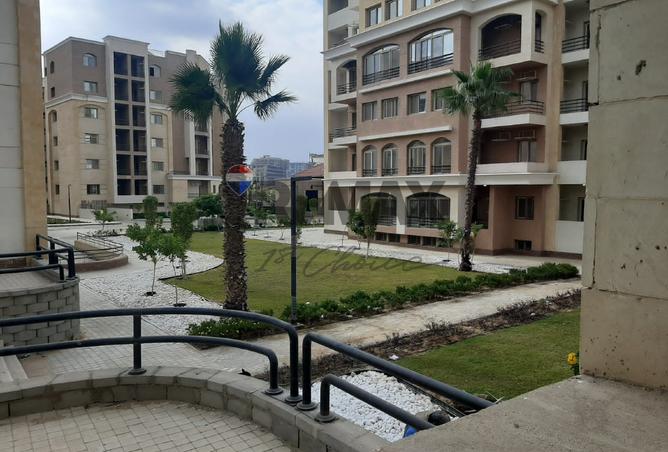 59236186 - صورة العقار 3