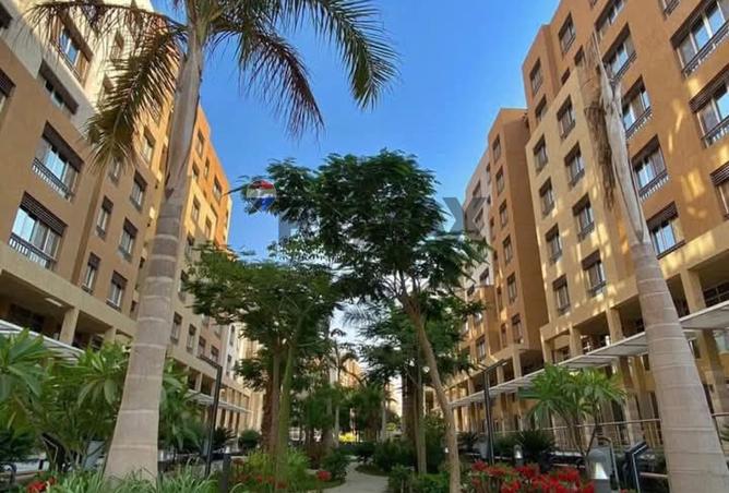 59236186 - صورة العقار 2