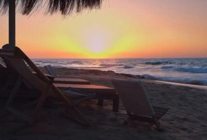 68274941 - Property Image 2