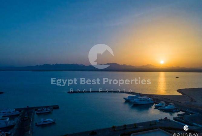 8695617 - Property Image 3