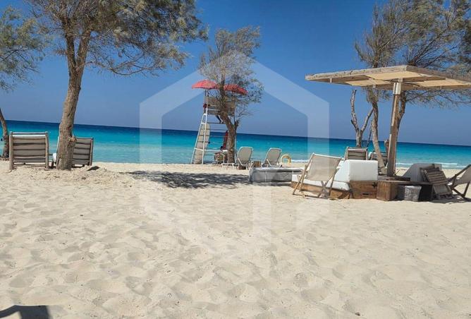 68266096 - صورة العقار 3