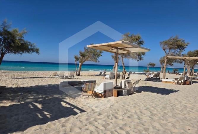 68266096 - صورة العقار 2