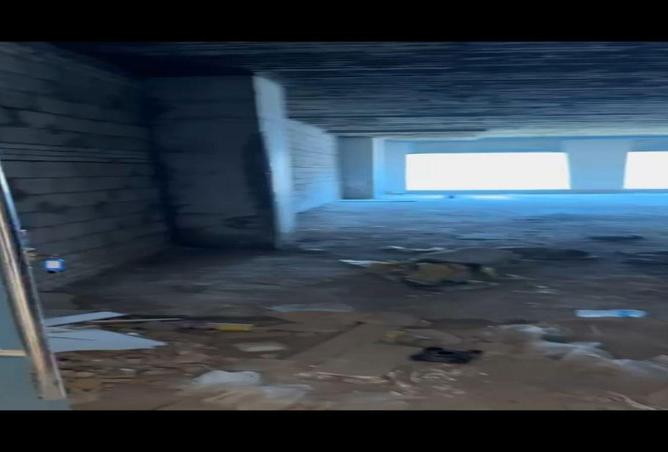 66177407 - Property Image 2