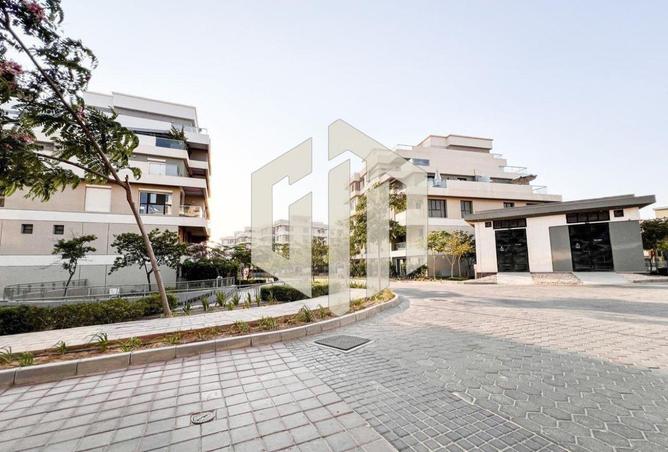 56250529 - Property Image 2