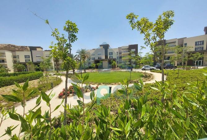 70358094 - الصورة الرئيسية للعقار