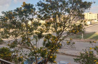 Apartment - 3 Bedrooms - 3 Bathrooms for sale in 1st Neighborhood - 3rd Area - Shorouk City - Cairo
