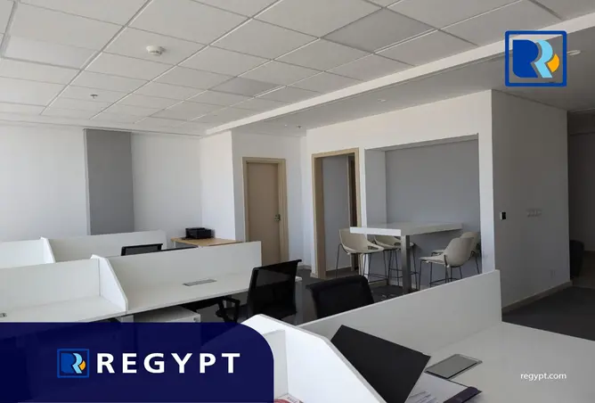 113807119 - Property Image 3