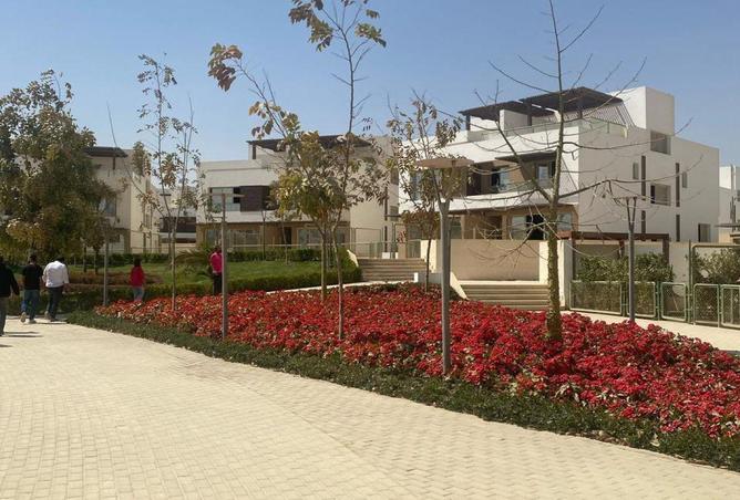 67741666 - Property Image 2